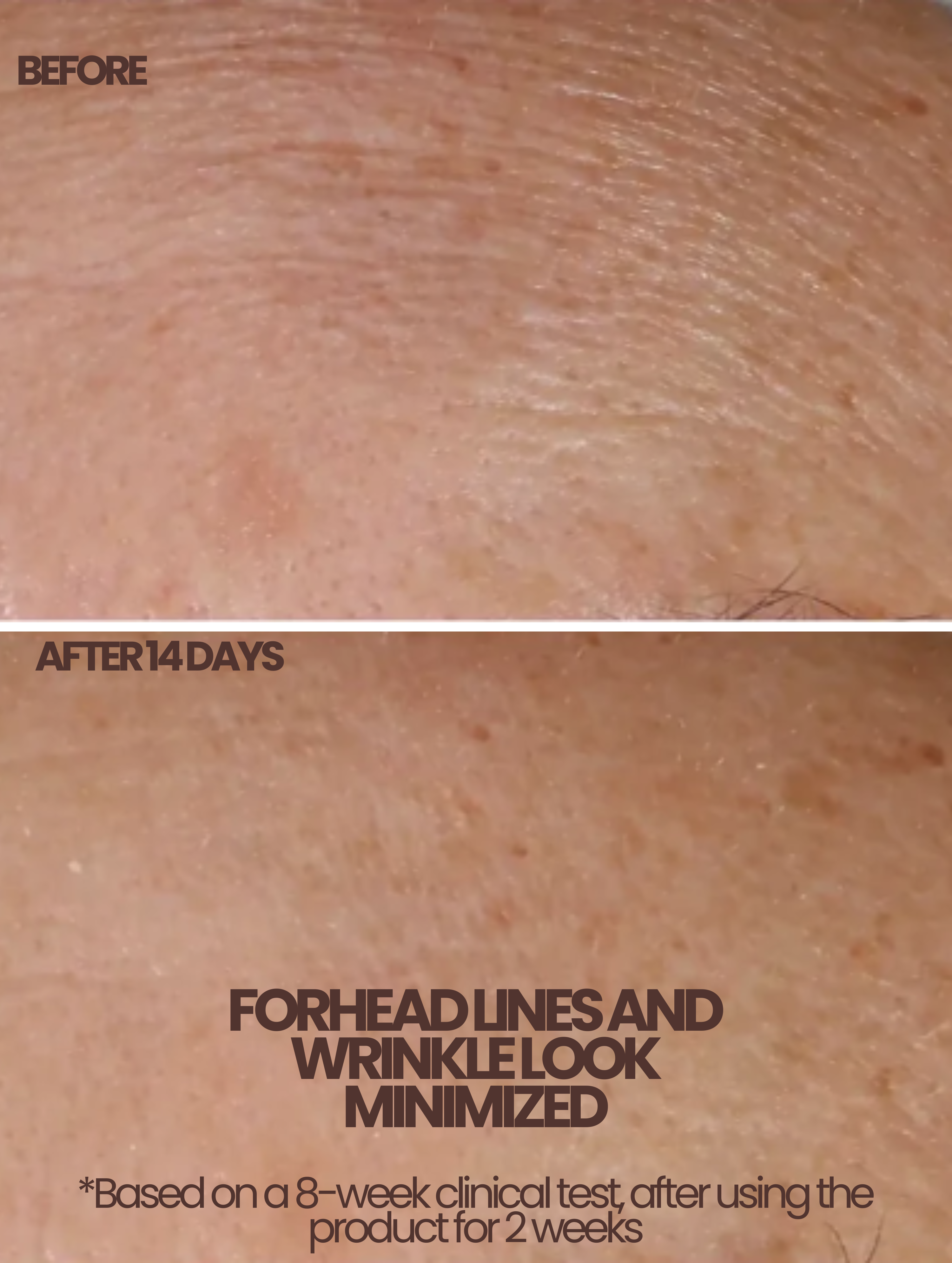 CLARENTINE Anti-Age Day Cream