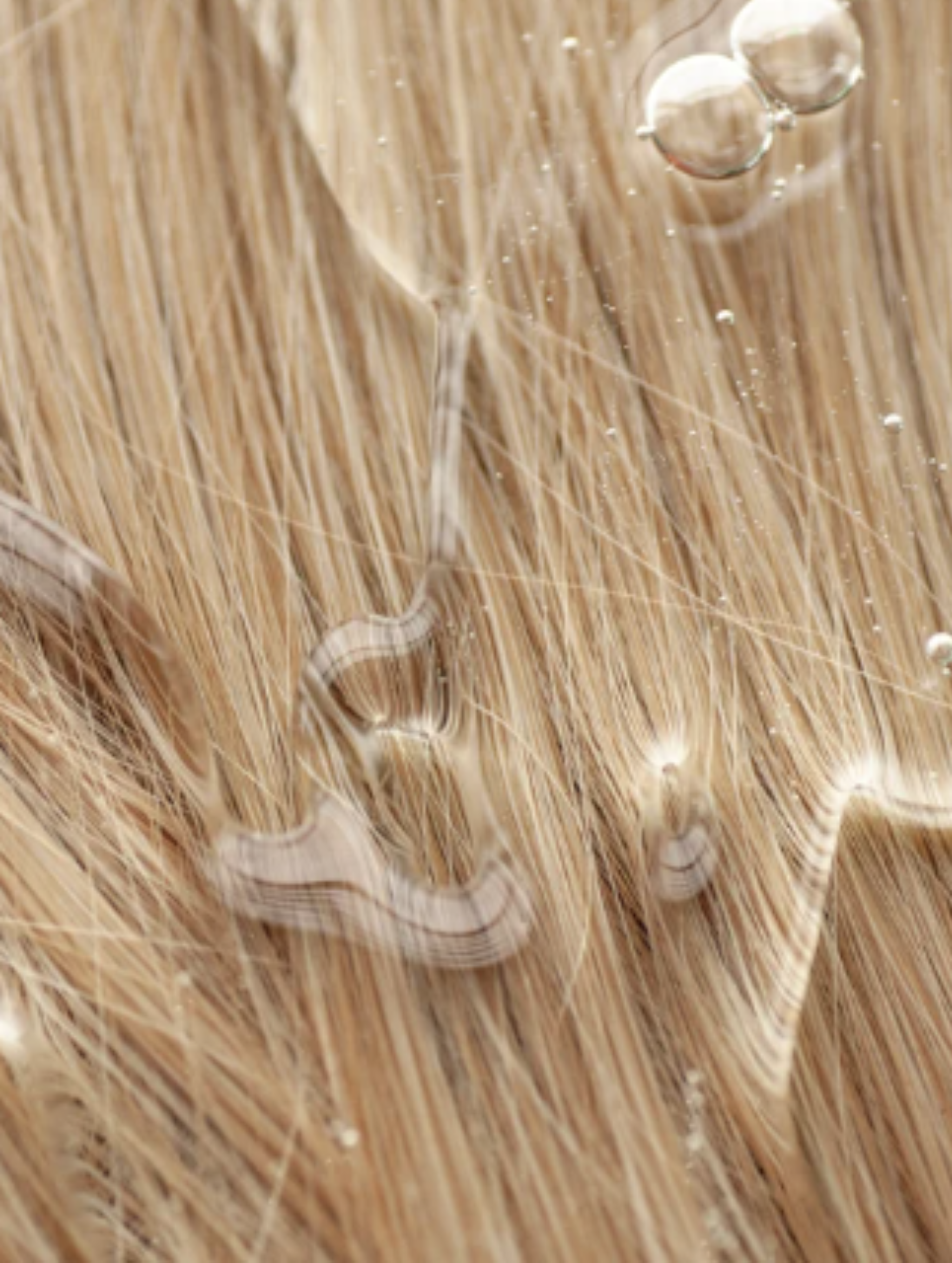 CLARENTINE Colour Care Shampoo, Peachy Grapefruit Zest, With Aroma