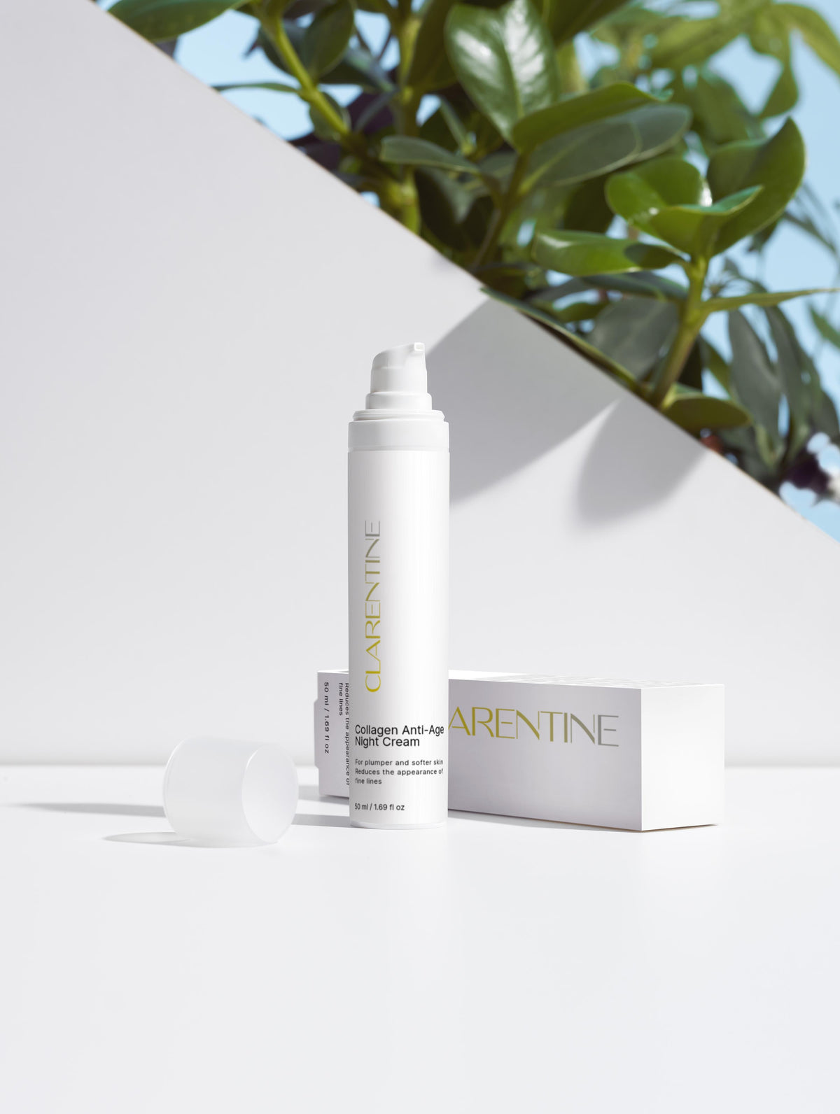 CLARENTINE Collagen Anti-Age Night Cream